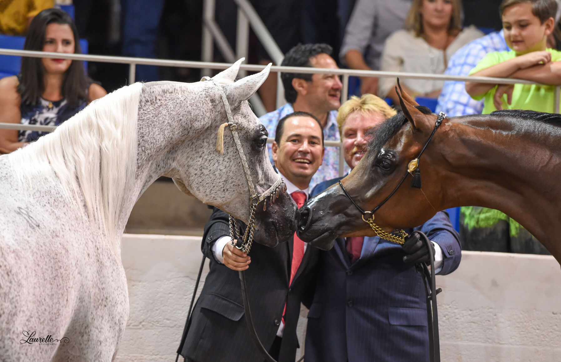 Arabian National Breeder Finals_ANBF_Sat_52-1444.jpg